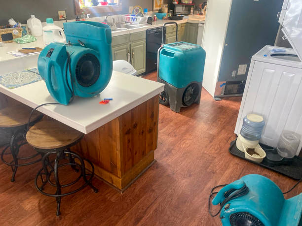 Best Flooded house restoration  in Lafayette, CO