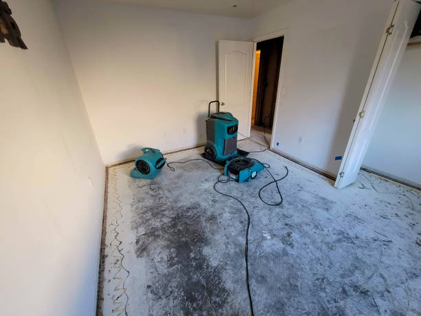 Best Fire Damage Restoration  in Lafayette, CO
