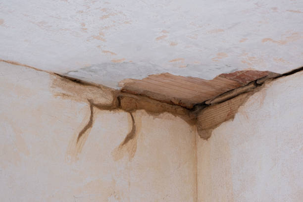Best Basement water damage restoration  in Lafayette, CO