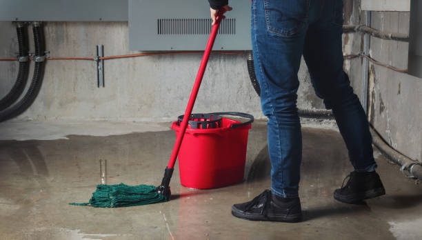 Best Water damage restoration near me  in Lafayette, CO