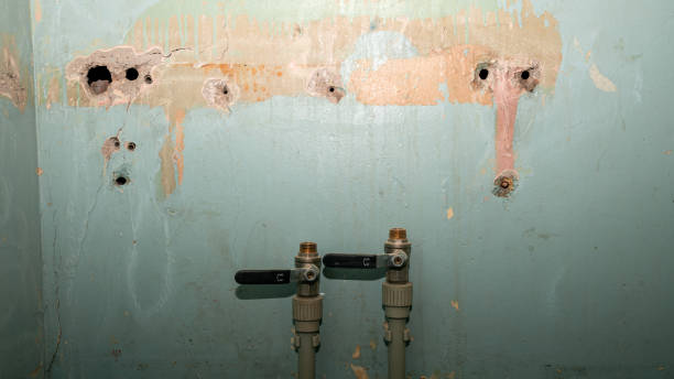 Best Water damage restoration specialists  in Lafayette, CO