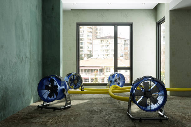 Best Ceiling water damage repair  in Lafayette, CO