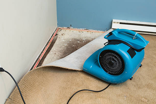 Best Water damage restoration process  in Lafayette, CO
